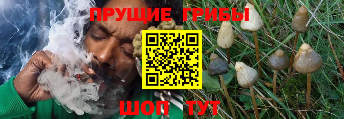 МЕТАДОН Ростов Великий