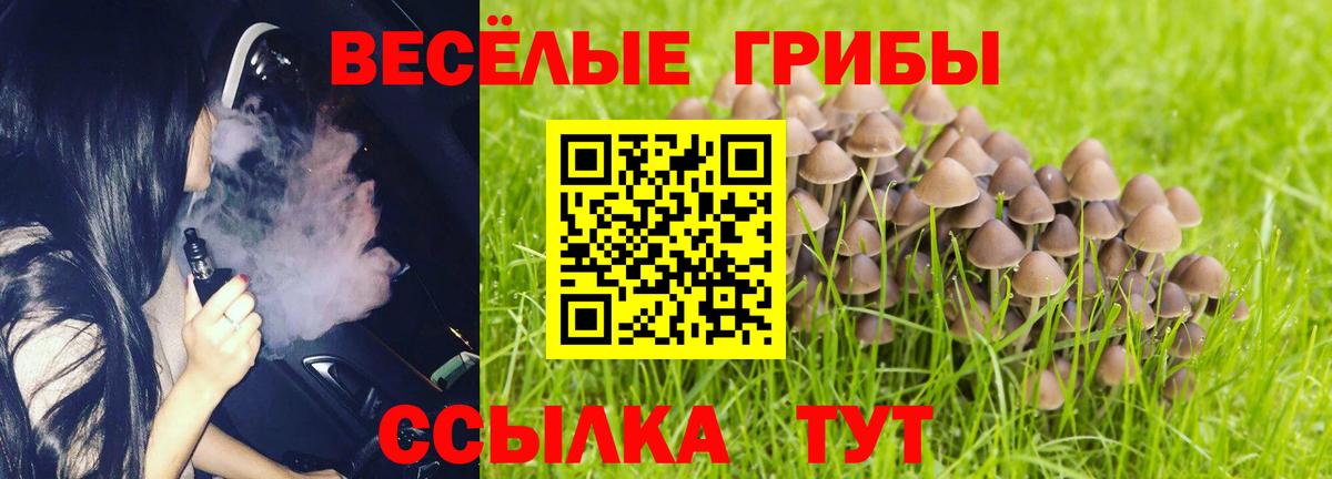 Псилоцибиновые грибы мухоморы Ростов Великий